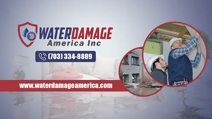 Water Damage America Picture 9