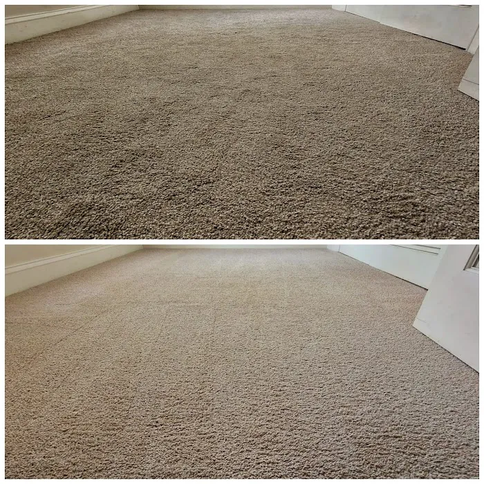 Experts mold removal Picture 2