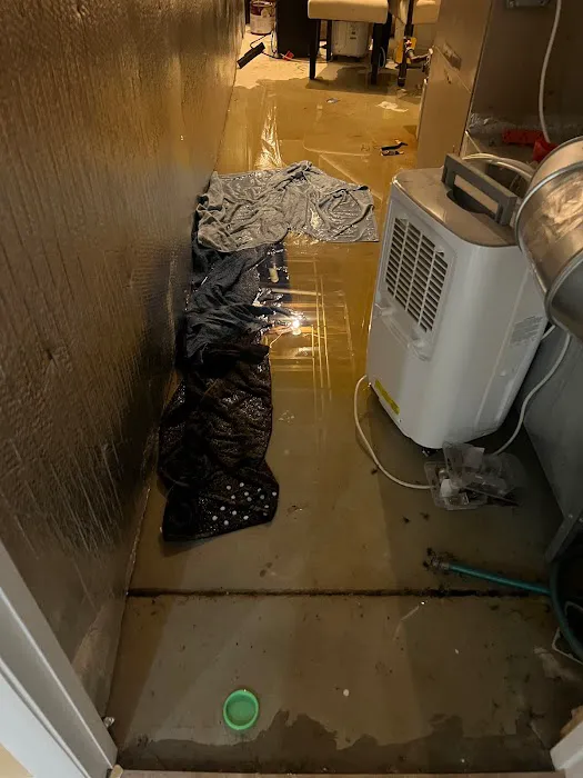 Experts mold removal Picture 6