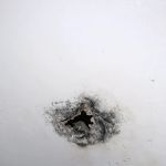 Experts mold removal