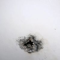 Experts mold removal ico