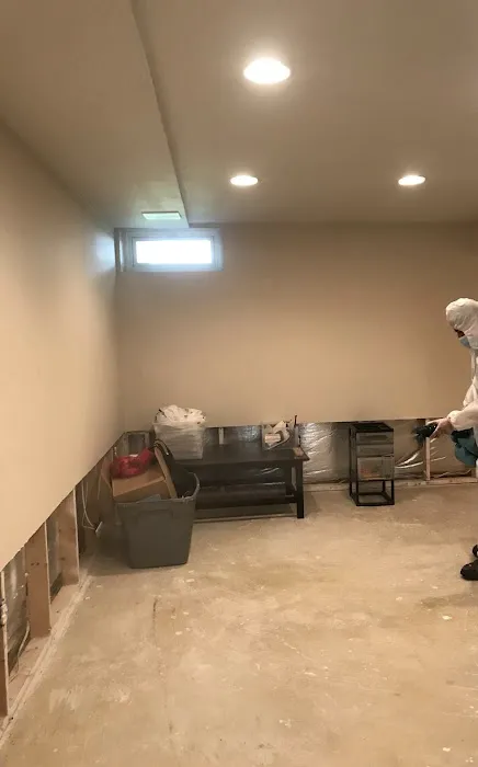 Experts mold removal Picture 9