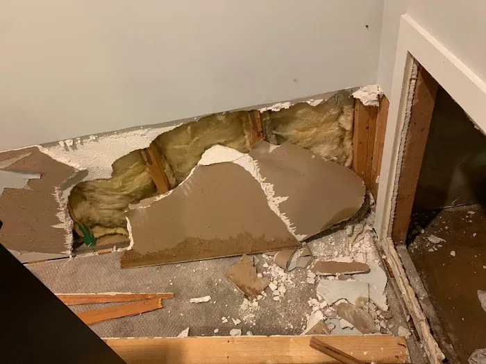 Experts mold removal Picture 7