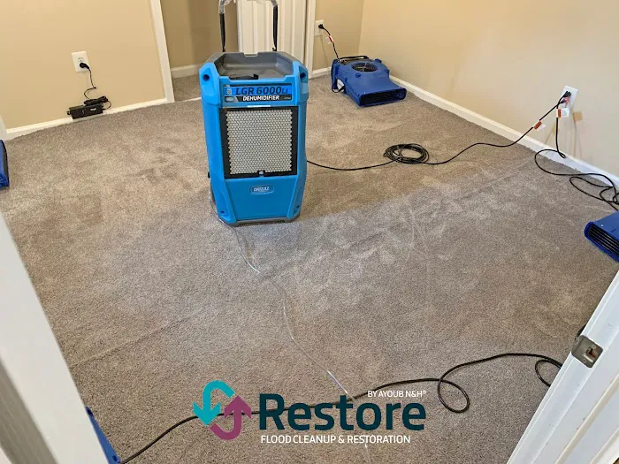 Restore by Ayoub N&H Picture 2