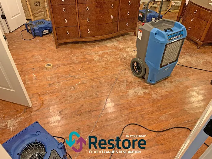 Restore by Ayoub N&H Picture 6