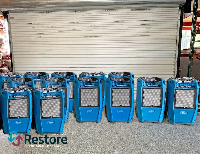 Restore by Ayoub N&H Picture 5