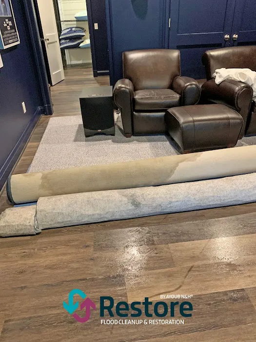 Restore by Ayoub N&H Picture 1