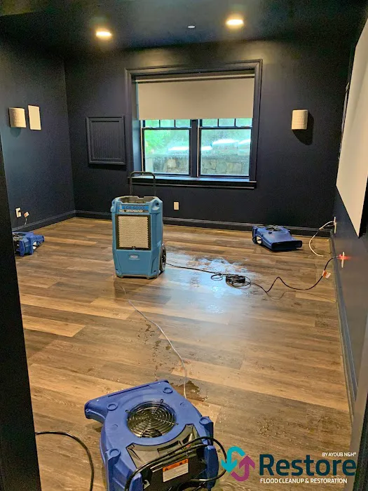 Restore by Ayoub N&H Picture 3