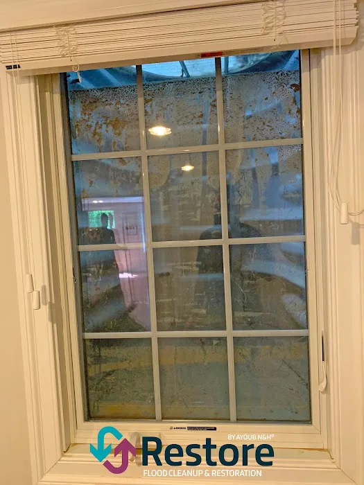 Restore by Ayoub N&H Picture 4