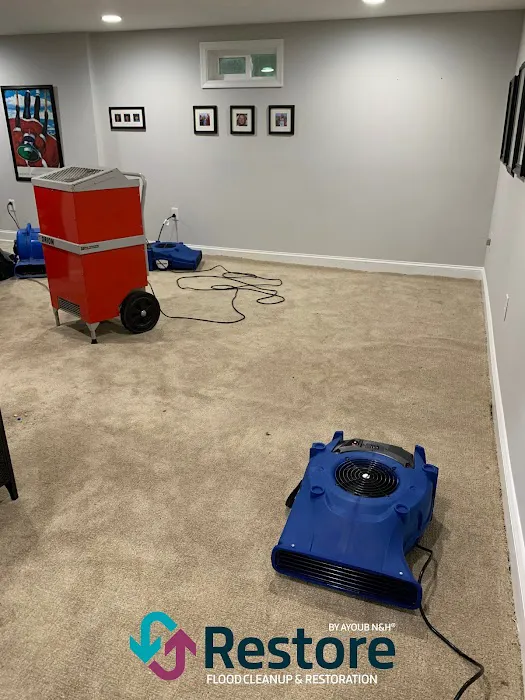 Restore by Ayoub N&H Picture 7