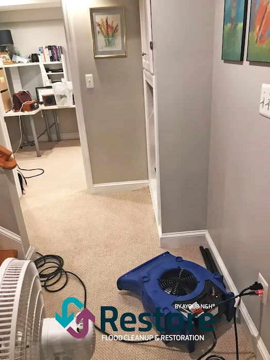 Restore by Ayoub N&H Picture 9