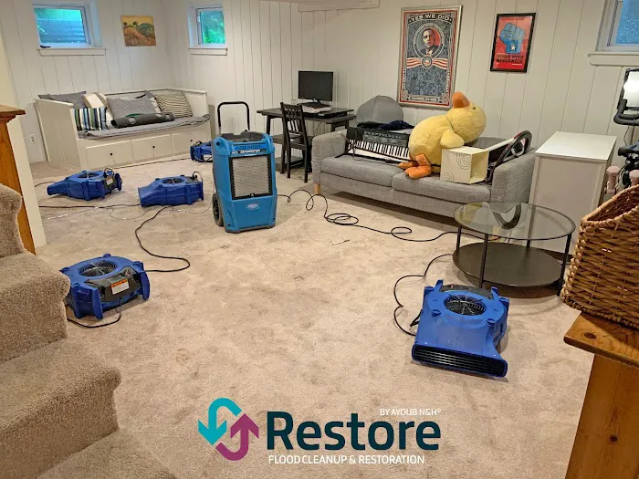 Restore by Ayoub N&H Picture 8