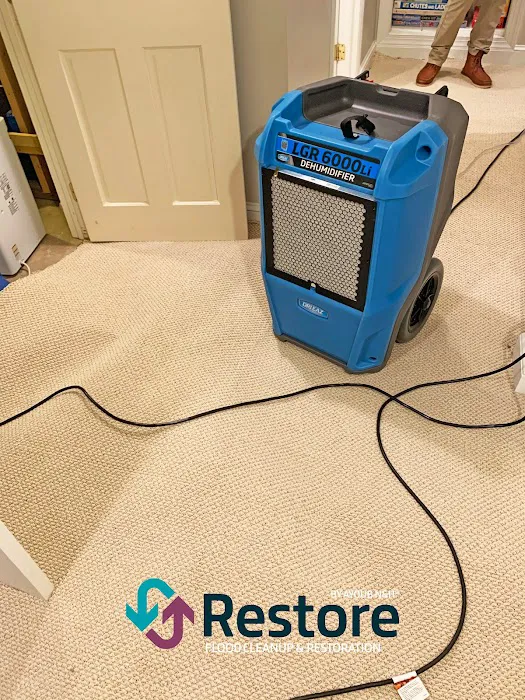 Restore by Ayoub N&H Picture 10