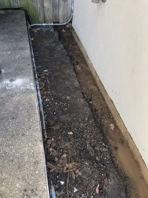 MidAtlantic Mold and Water Damage Picture 2