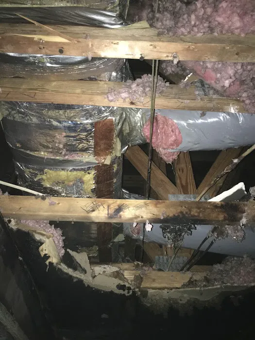 DMCC Restoration LLC (formerly Dry Master Carpet Care) Picture 3