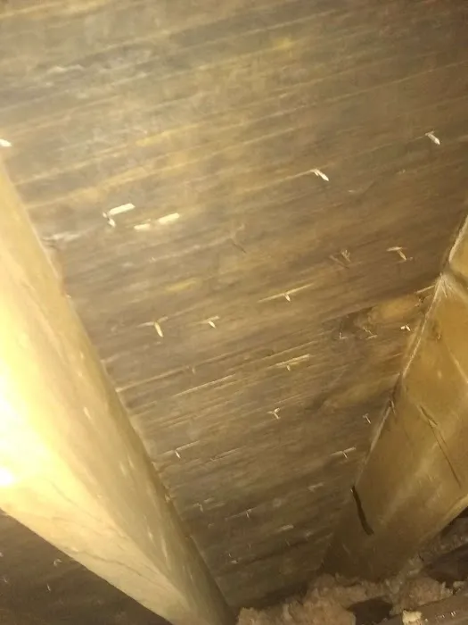 IPS Restoration LLC Picture 1