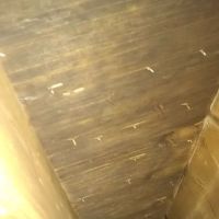 IPS Restoration LLC ico