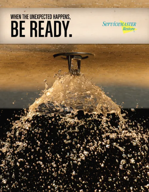 ServiceMaster Professional Cleaning Picture 4