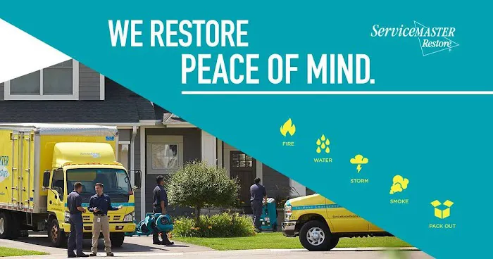 ServiceMaster Professional Cleaning Picture 5