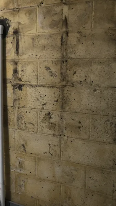 DMR Waterproofing Picture 10