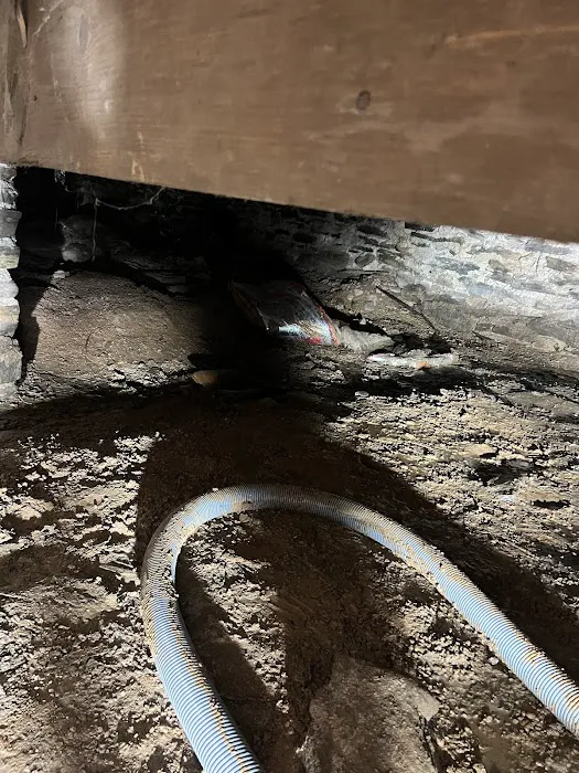 Red Dog Restoration Picture 10