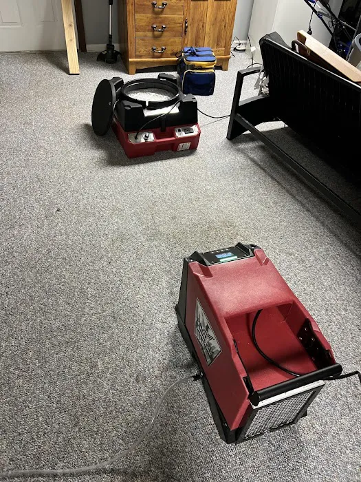 Red Dog Restoration Picture 5