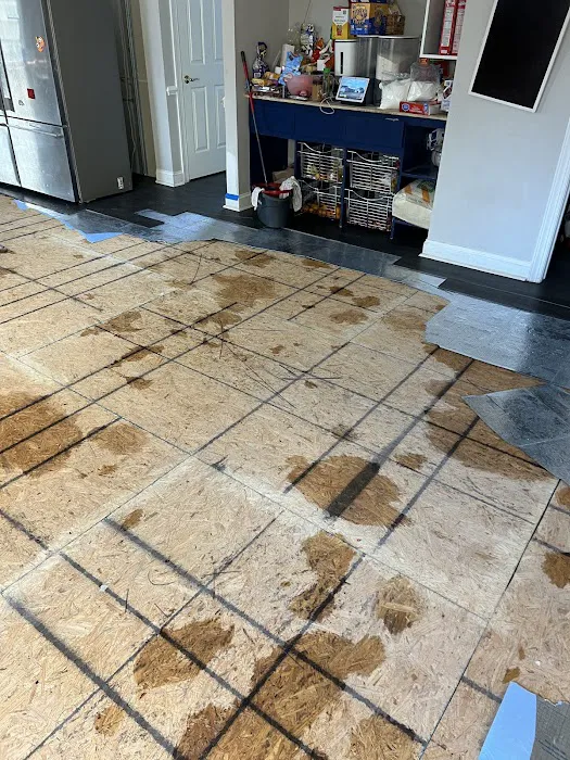 Red Dog Restoration Picture 9