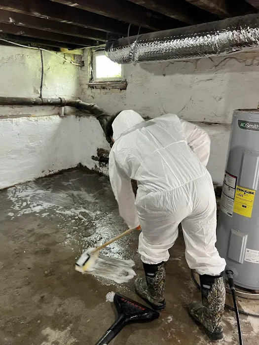 Red Dog Restoration Picture 6