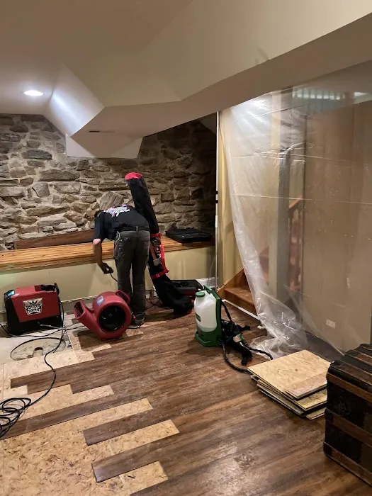 Red Dog Restoration Picture 3