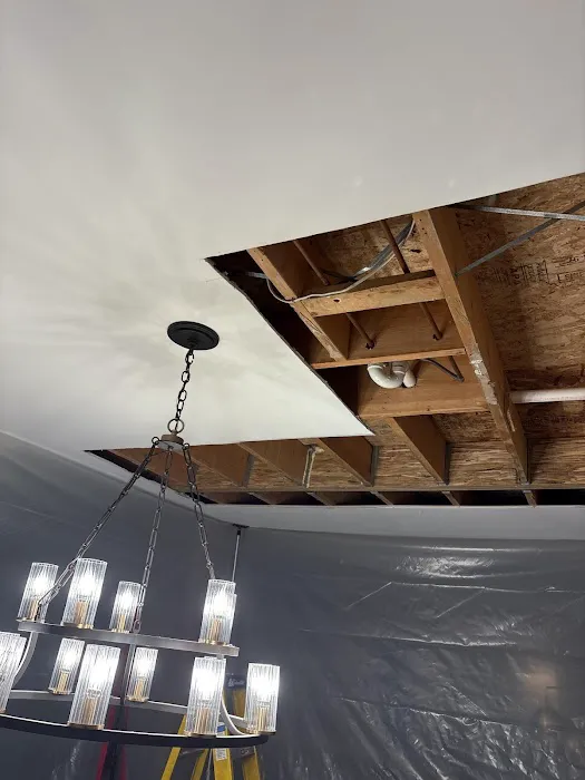 Red Dog Restoration Picture 4