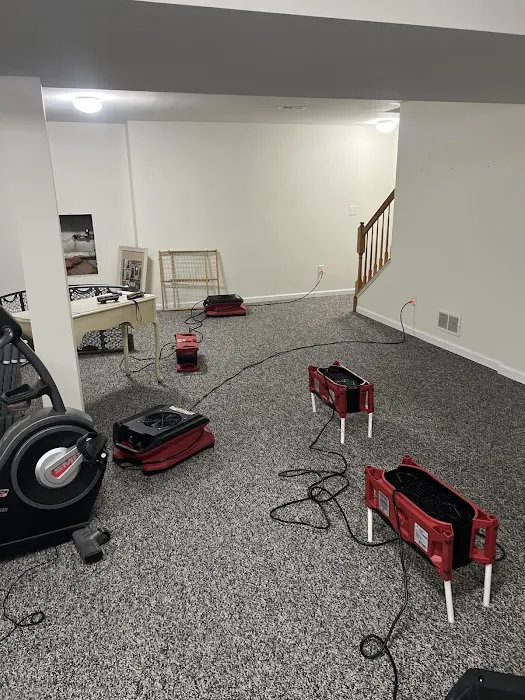 Red Dog Restoration Picture 2