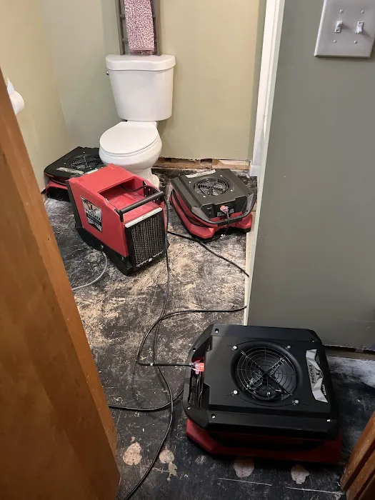 Red Dog Restoration Picture 1