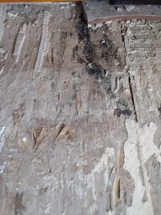 ServiceMaster of the Tri-Counties Picture 2