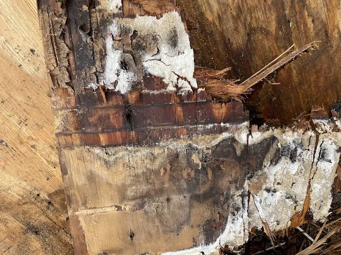 360 Property Restoration Picture 4