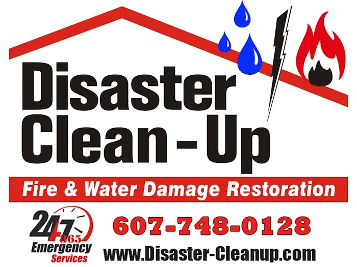 Disaster Clean-Up Picture 2