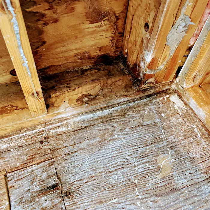 Binghamton Environmental & Construction Group Picture 7