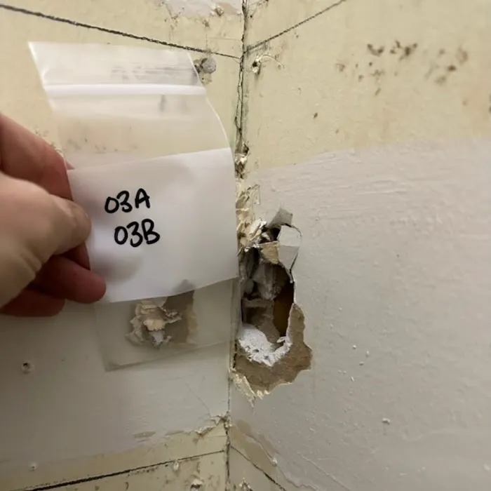 Binghamton Environmental & Construction Group Picture 9