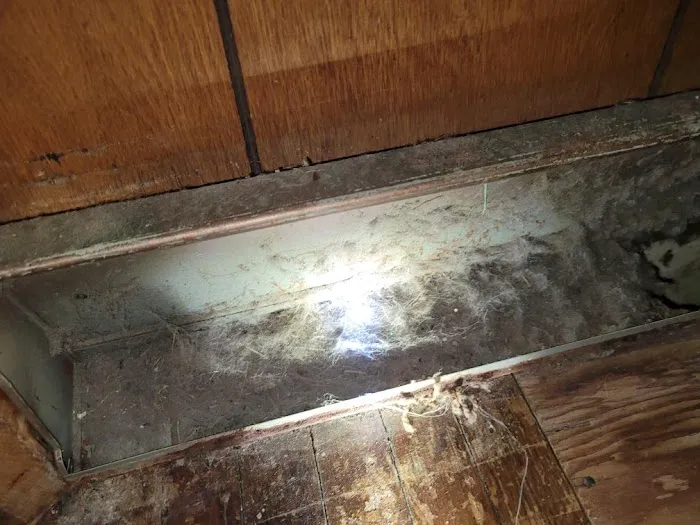 Stanley Steemer Picture 3