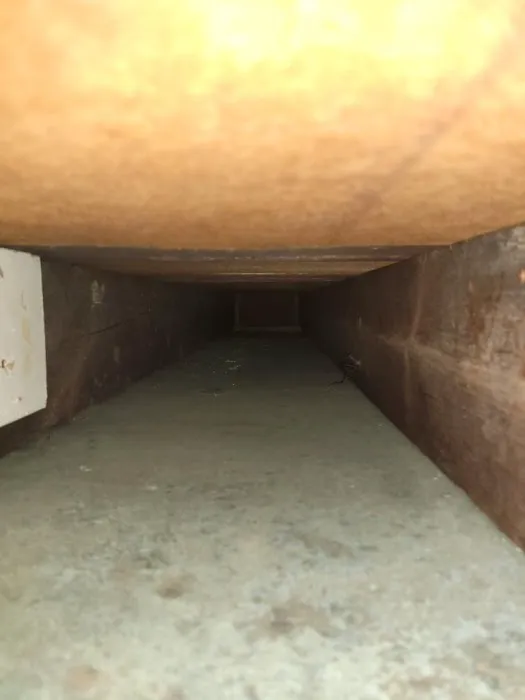 Stanley Steemer Picture 2