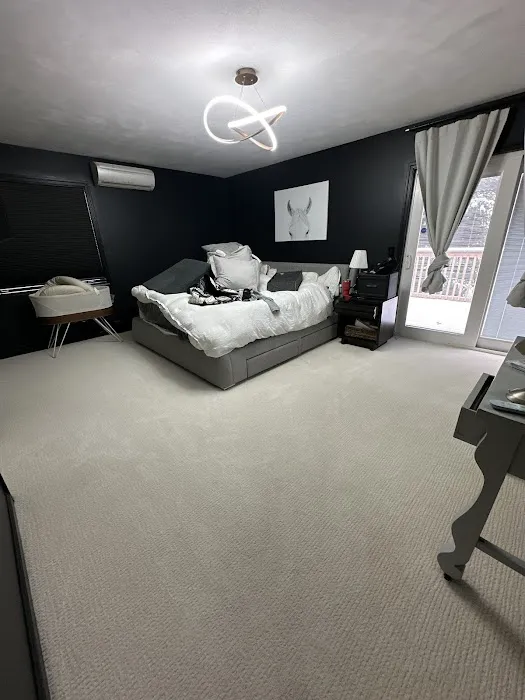 Stanley Steemer Picture 7