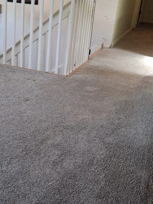 Stanley Steemer Picture 6