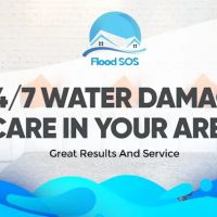 Flood SOS ico