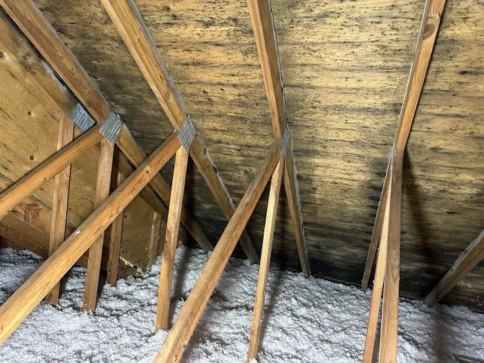 ServiceMaster Clean by Tri-State Picture 10