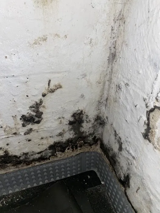 ATZ Home Improvement Cleanup Picture 3