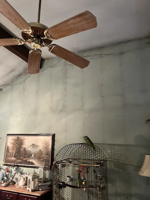 1-800 WATER DAMAGE of Rockaway Picture 3