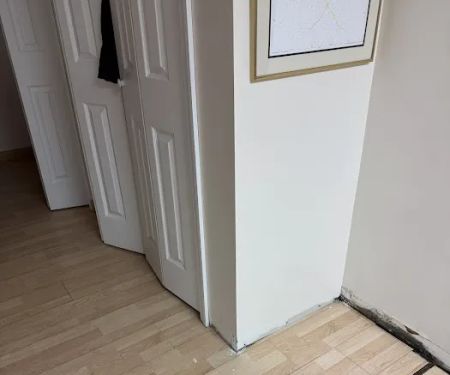 1-800 WATER DAMAGE of Rockaway