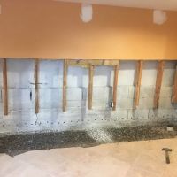 Pure Service Pro ico