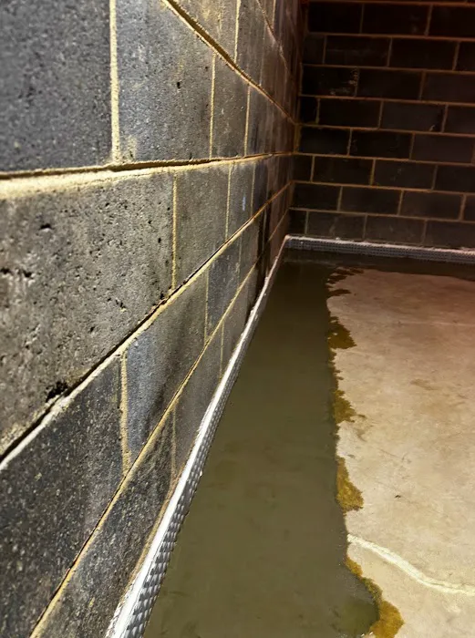 Pure Service Pro Picture 4