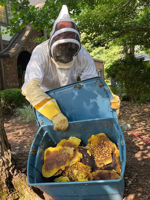 PuroClean of Wayne Picture 5