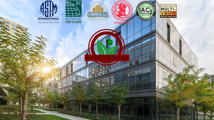 Slate Belt Mold Tech Picture 3